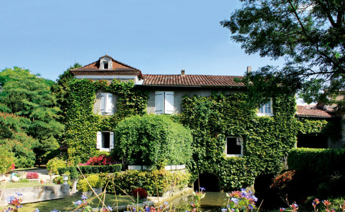 Walnuss Perigord