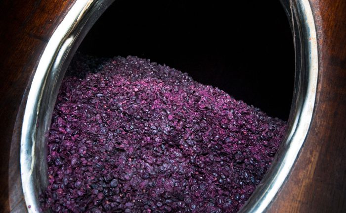 vinifikation-rotwein-medoc